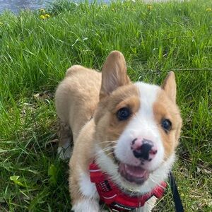 Meet your Posher, Lau